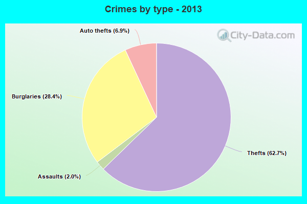 Crimes by type - 2013