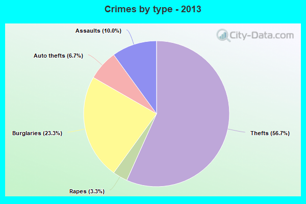 Crimes by type - 2013