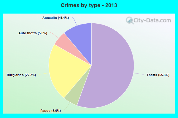 Crimes by type - 2013