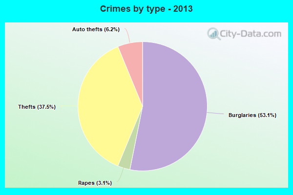 Crimes by type - 2013