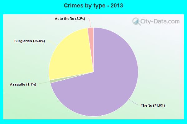 Crimes by type - 2013