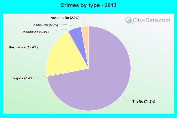 Crimes by type - 2013