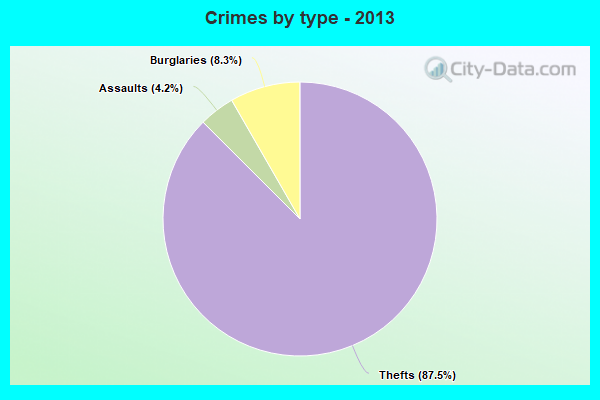 Crimes by type - 2013