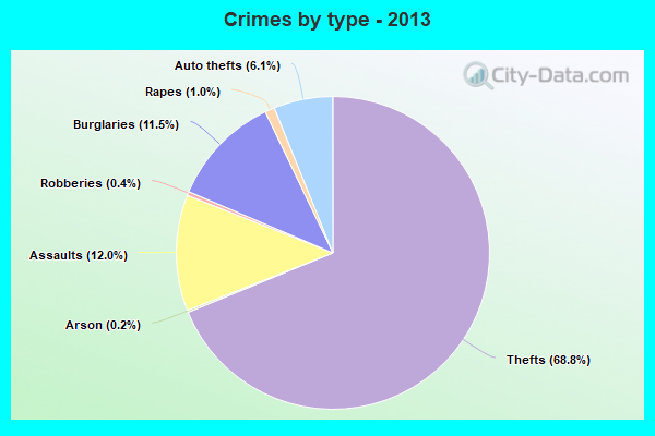 Crimes by type - 2013