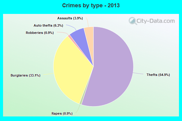 Crimes by type - 2013