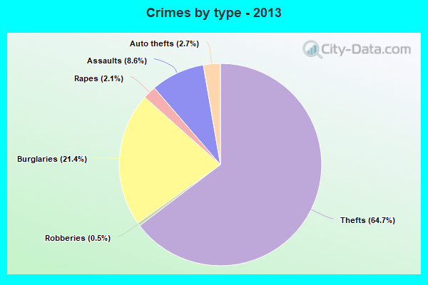 Crimes by type - 2013