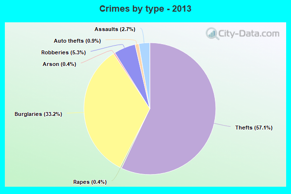 Crimes by type - 2013