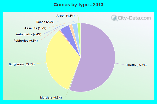 Crimes by type - 2013