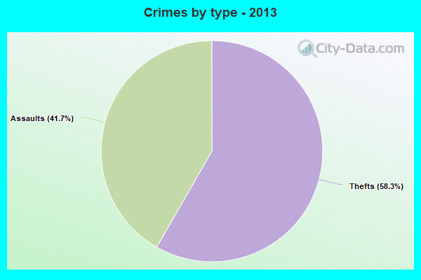 Crimes by type - 2013