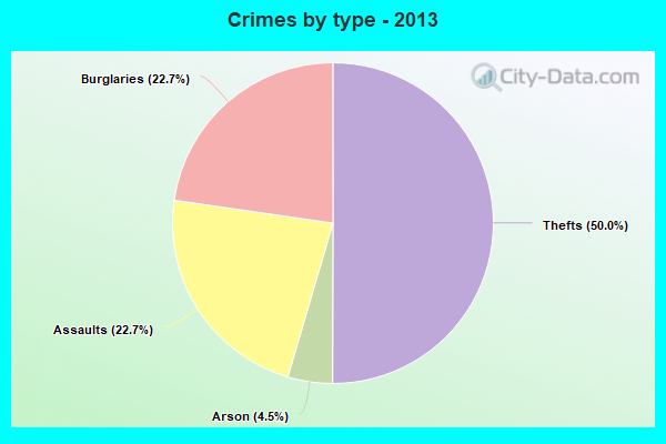 Crimes by type - 2013