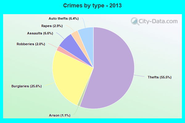 Crimes by type - 2013