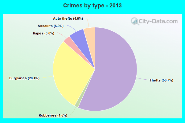 Crimes by type - 2013