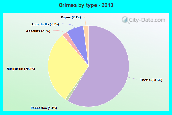 Crimes by type - 2013