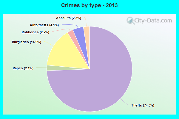 Crimes by type - 2013