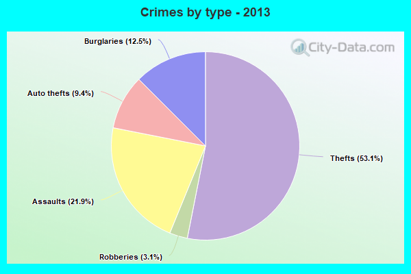 Crimes by type - 2013