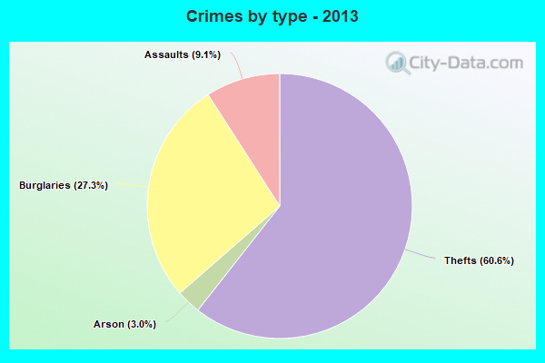 Crimes by type - 2013