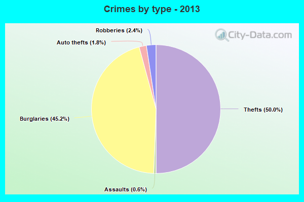 Crimes by type - 2013