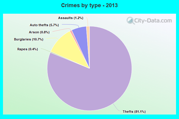 Crimes by type - 2013