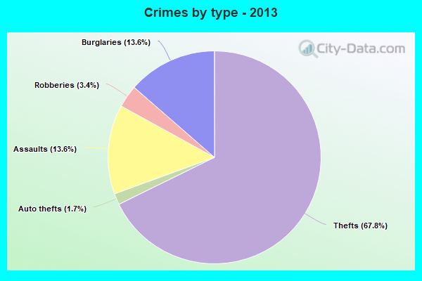 Crimes by type - 2013