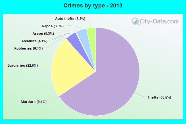 Crimes by type - 2013