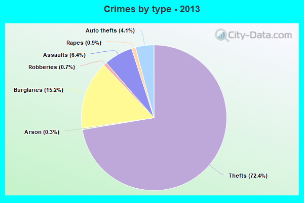 Crimes by type - 2013