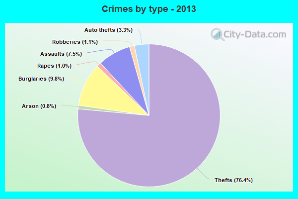 Crimes by type - 2013