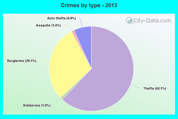 Crimes by type - 2013