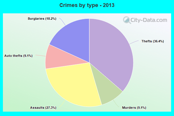 Crimes by type - 2013