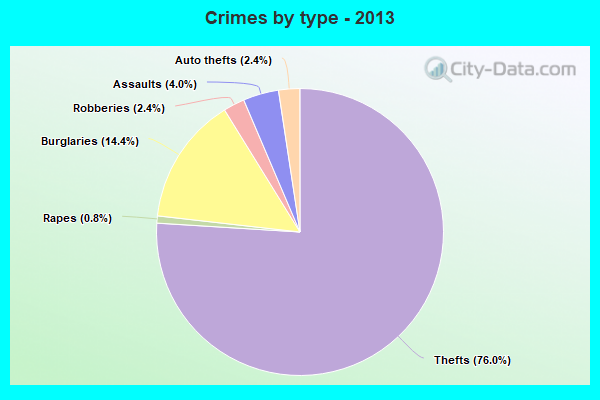 Crimes by type - 2013