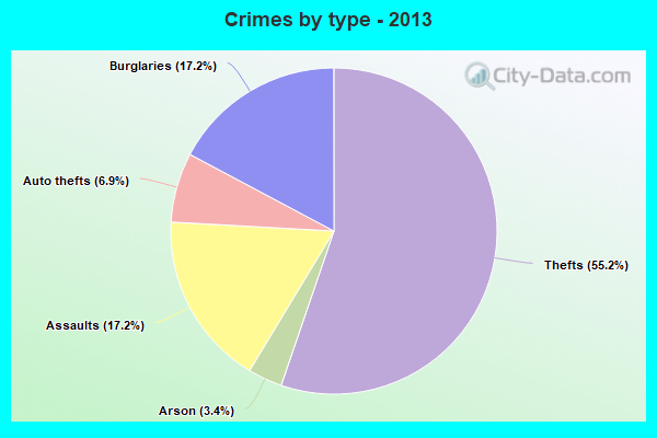 Crimes by type - 2013