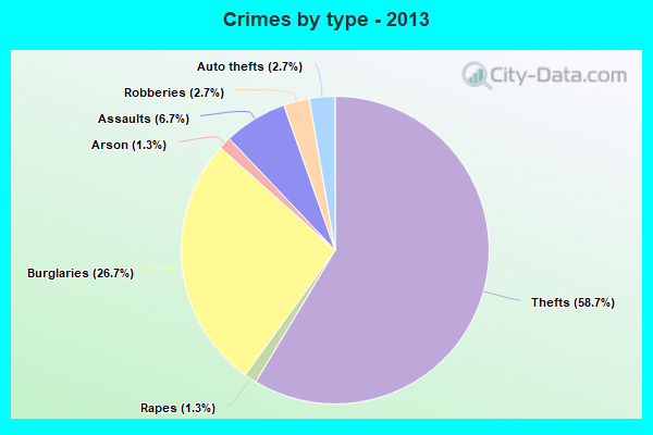 Crimes by type - 2013