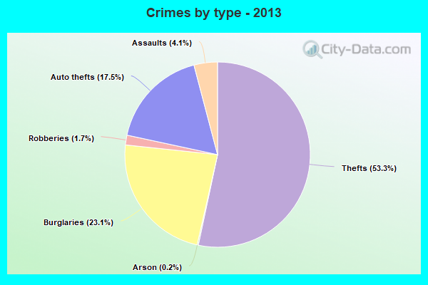 Crimes by type - 2013