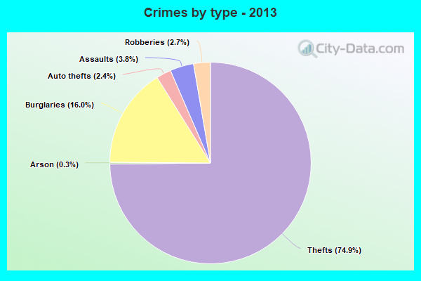 Crimes by type - 2013