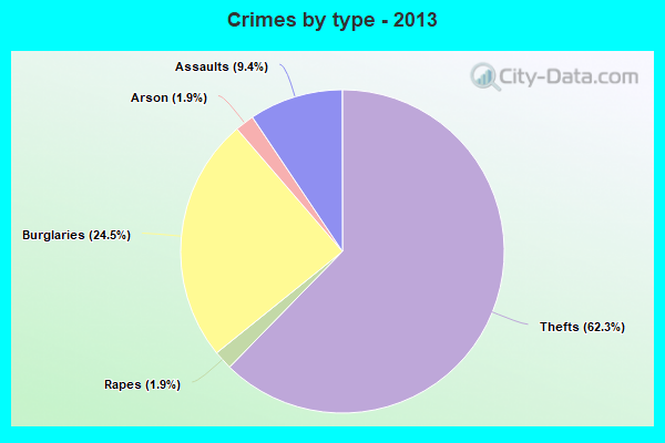 Crimes by type - 2013