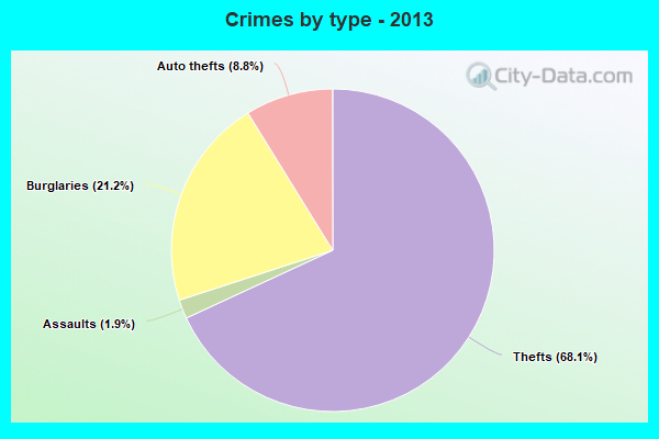 Crimes by type - 2013