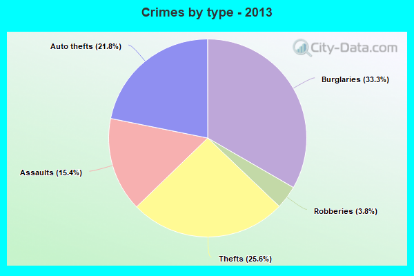 Crimes by type - 2013