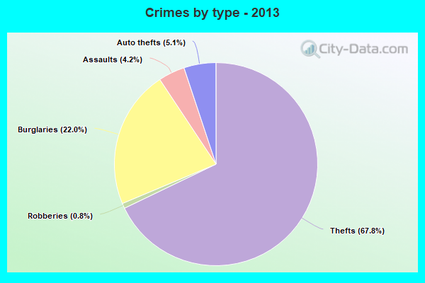 Crimes by type - 2013