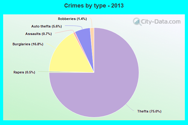 Crimes by type - 2013