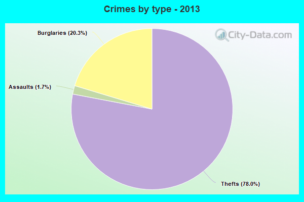 Crimes by type - 2013