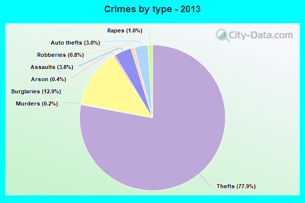 Crimes by type - 2013