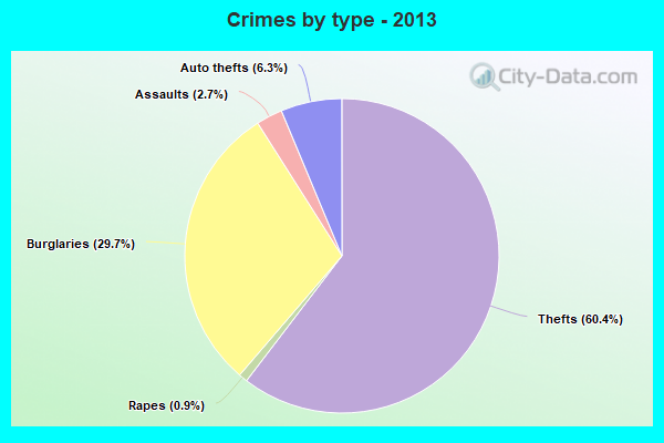 Crimes by type - 2013