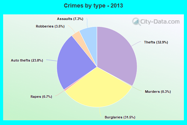 Crimes by type - 2013