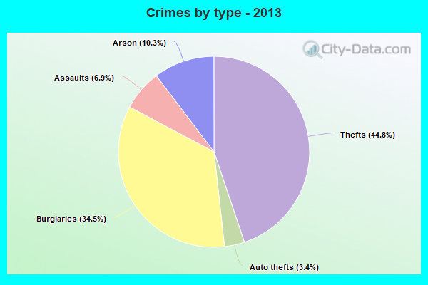 Crimes by type - 2013