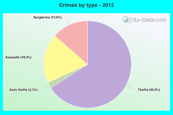 Crimes by type - 2013