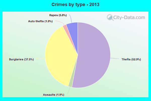 Crimes by type - 2013