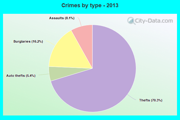 Crimes by type - 2013