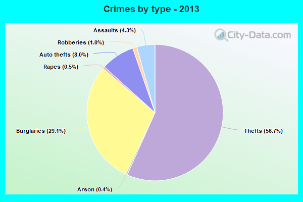 Crimes by type - 2013