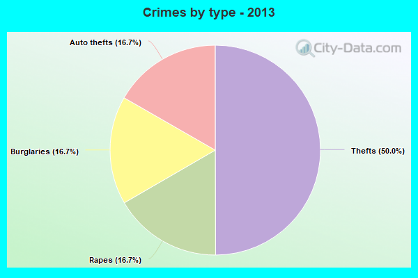 Crimes by type - 2013