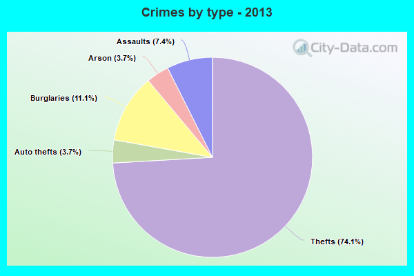 Crimes by type - 2013