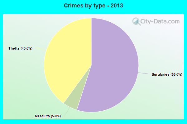 Crimes by type - 2013